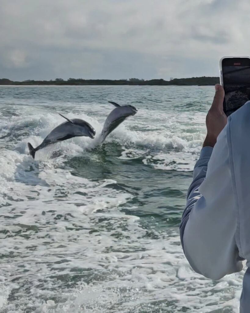 We Got the Dolphins Jumping Today