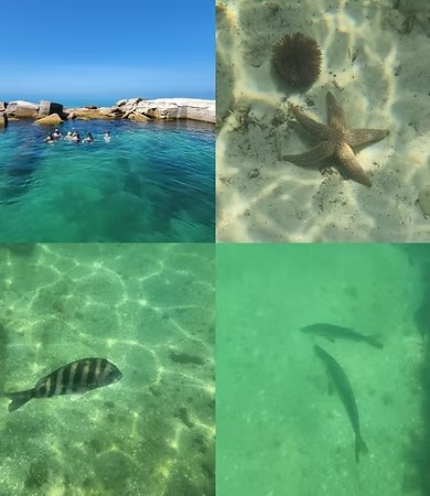 Snorkeling at Egmont Key from Gulfport FL